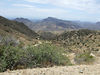 Ed Buckel > 2007-07-22 Montana Mountain Rd photo